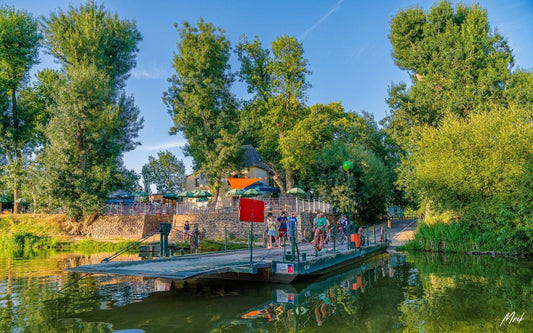 5 winterse natuuruitstapjes voor het hele gezin in Angers